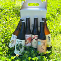 【夏ギフト】涼やかに季節を味わう！「ごくごくサマーセット」6本飲み比べ【特別価格】