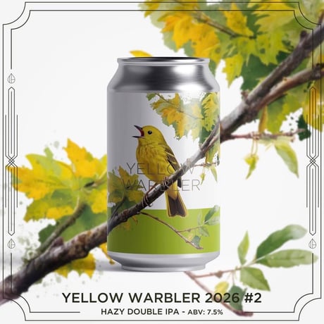 Yellow Warbler 2026 #2 / インクホーンブルーイング