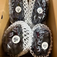 新商品！【送料込】種あり藤稔（ふじみのり）と巨峰食べ比べセット約２kg　クール便化粧箱入り