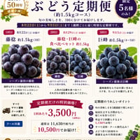 ５０周年感謝企画！【送料込】毎週土曜日に届くぶどうの定期便１.５kgコース(全３回)