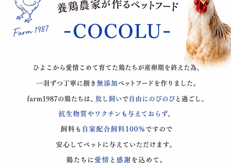 6a4cda07d90e54a9ea5d4356