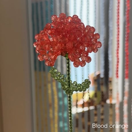 Carnation 1p