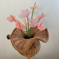Anthurium 2 piece set