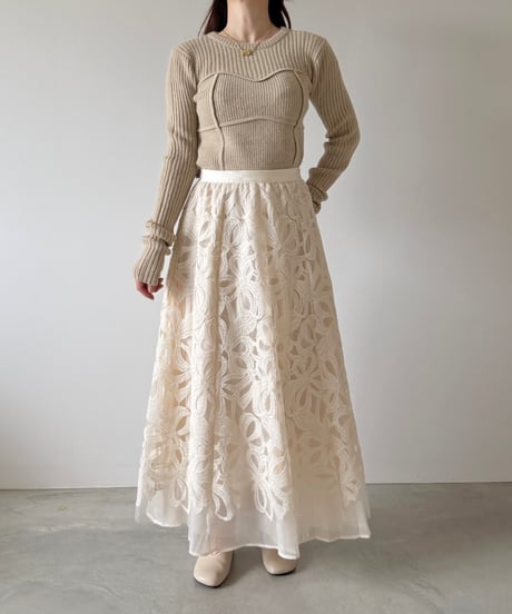 embroidery sheer long skirt