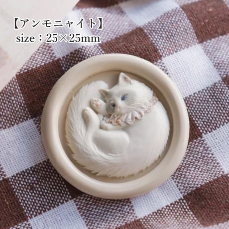在庫のみ【アンモニャイト】 size：25×25mm　*10485*　(A)  復刻版