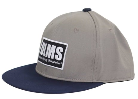 【DLMS】ベースボールキャップ DLM-2011