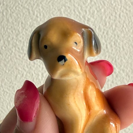 Mini dog ②