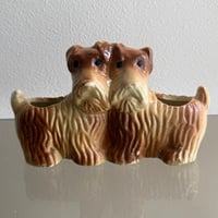 Dog twins