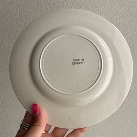 1950's England Norfolk Pottery plate
