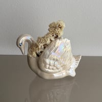 Swan small