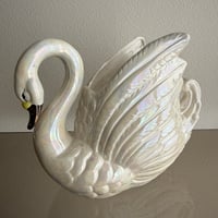 Big swan