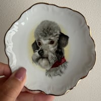 Ceramic dog mini plate dog ②