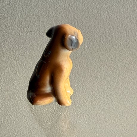 Mini dog ②