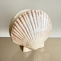 Shell paper folder
