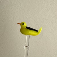 Fruits pick bird ①