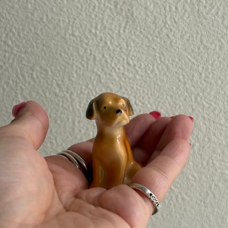 Mini dog ②