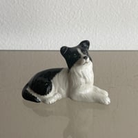 Dog A
