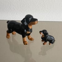 Dog set