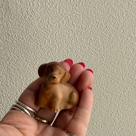 Mini dog ①