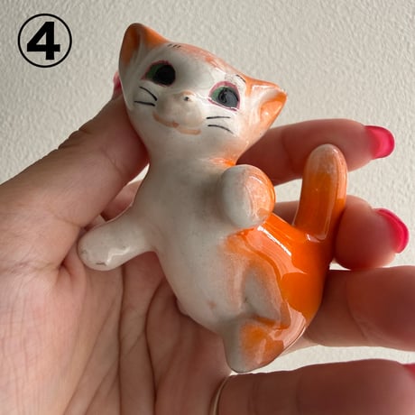 Italy Kitten