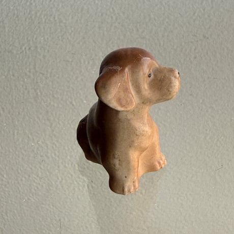Mini dog ①