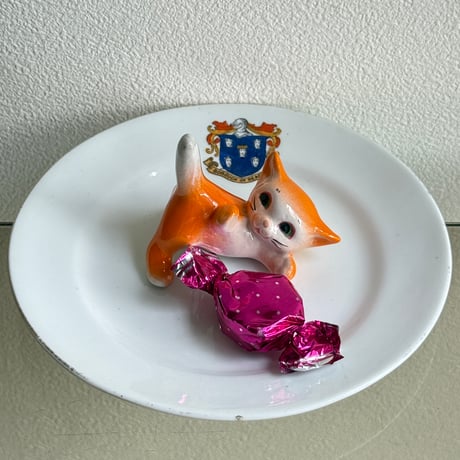 Italy Kitten