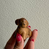 Mini dog ①