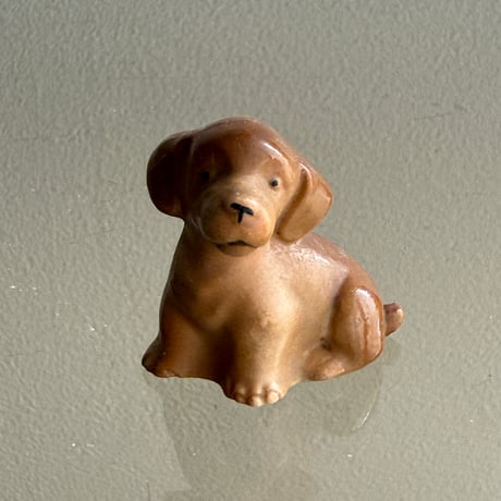 Mini dog ①