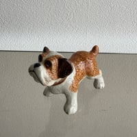 Dog B