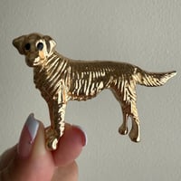 Retriever brooch