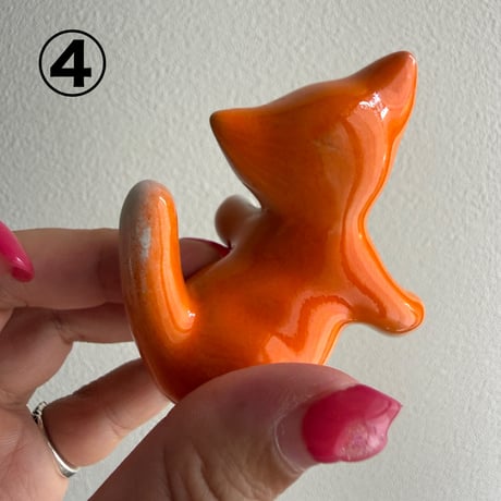 Italy Kitten