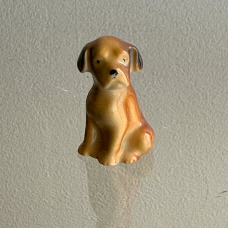 Mini dog ②