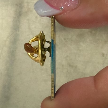 Chips pin