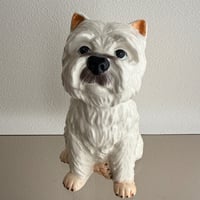 Dog money box