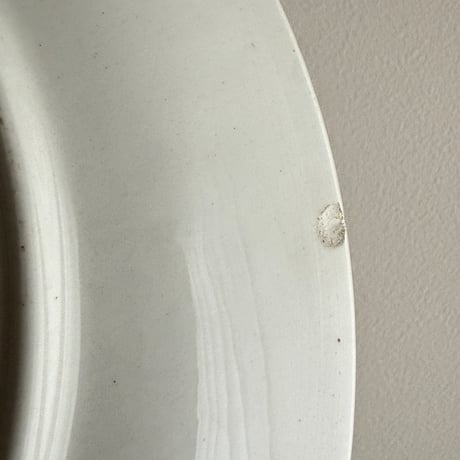 1960's France Sarreguemines oyster plate