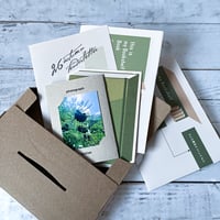 TenderLetter {26 autumn}