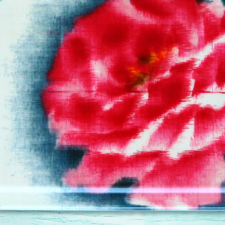 ミニトレー 21×12cm【伊勢崎銘仙】大輪薔薇