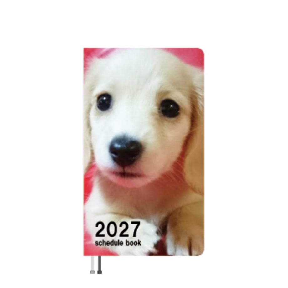 6ac03696e4277e31420d0612