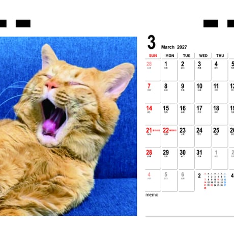 【予約販売】 猫のにゃろめっこ 2027年 卓上半面 カレンダー TC27102