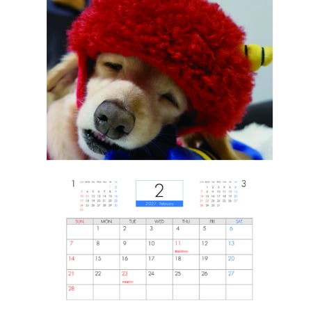 【予約販売】 くぅ＆らいら ミニチュアダックス 犬 2027年 壁掛け カレンダー KK27249