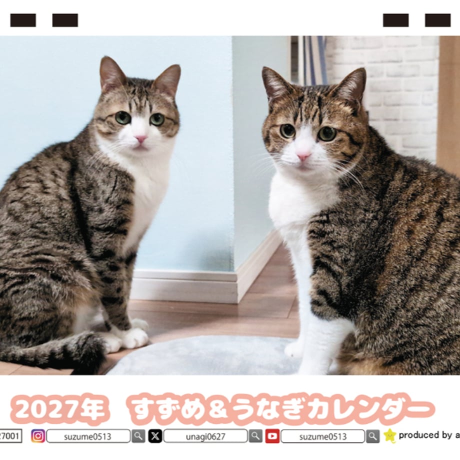 6ab68377864f2eb554292603