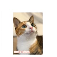 【予約販売】 レオとイロハ 猫 A5ノート帳 No21 No021NN