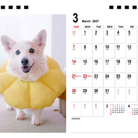 【予約販売】 ノエル＆モナ コーギー 犬 2027年 卓上 半面 カレンダー TA27266