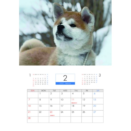 【予約販売】 秋田犬の陸奥 2027年 壁掛け カレンダー KK27089
