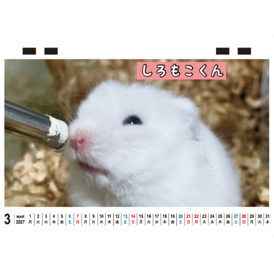 6ac73a30855e9cf7a8e3cb49