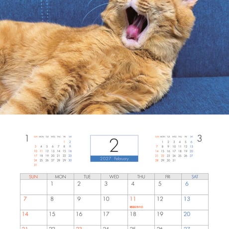 【予約販売】 猫のにゃろめっこ 2027年 壁掛け カレンダー KK27100