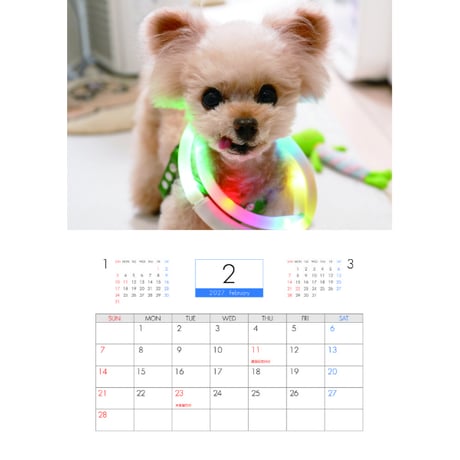 【予約販売】 クレマ トイプードル 犬 2027年 壁掛け カレンダー KK27235