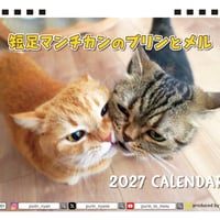 【予約販売】 短足マンチカンのプリンとメル 2027年 卓上 カレンダー TA27272
