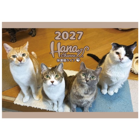 【予約販売】 Hana Channel 保護猫ライフ 2027年 壁掛け カレンダー KK27300