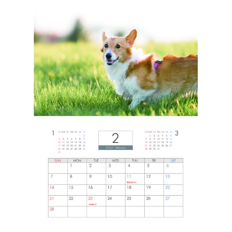 【予約販売】 ノエル＆モナ コーギー 犬 2027年 壁掛け カレンダー KK27264